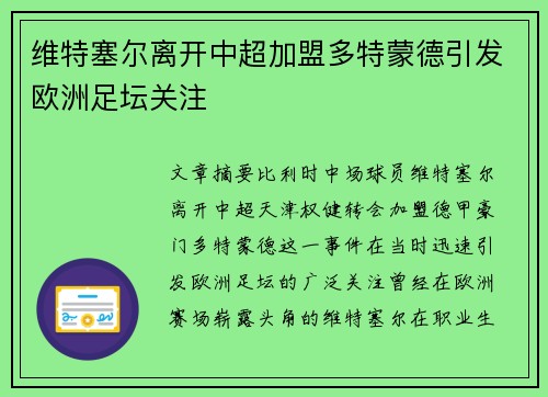 维特塞尔离开中超加盟多特蒙德引发欧洲足坛关注